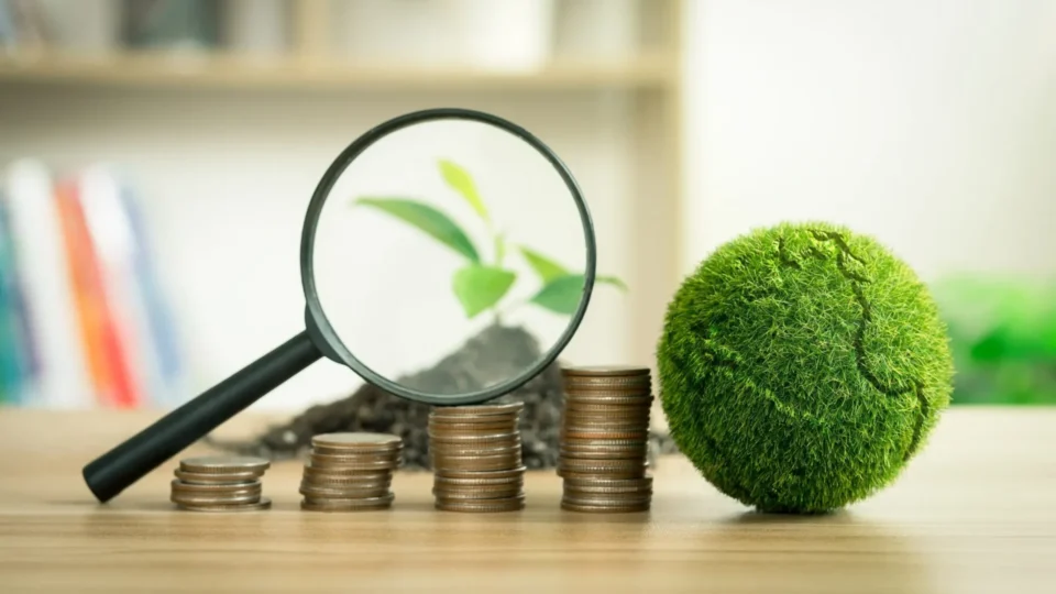 Sustentabilidade nos negócios: um conceito com muitas faces