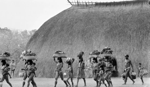 Às vésperas da COP30, livro clássico que denuncia violência contra indígenas é relançado