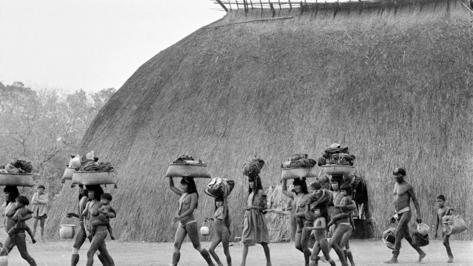 Às vésperas da COP30, livro clássico que denuncia violência contra indígenas é relançado