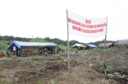 Mineradora Belo Sun sofre derrota em projeto de megamina de ouro no Pará