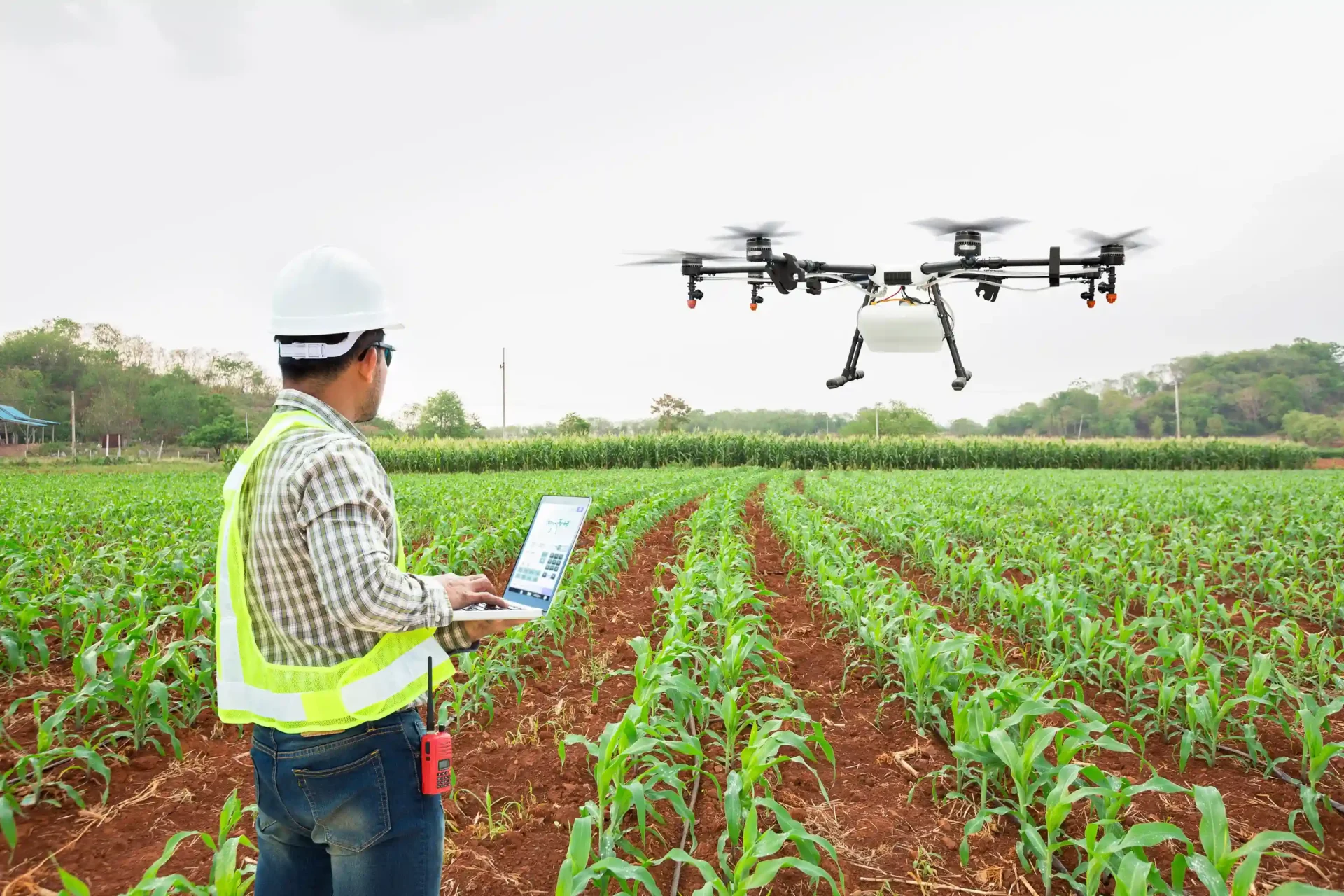 A Agricultura 4.0 conecta Big Data, drones e IoT para transformar o campo em um espaço mais eficiente, produtivo e sustentável. Imagem: divulgação 