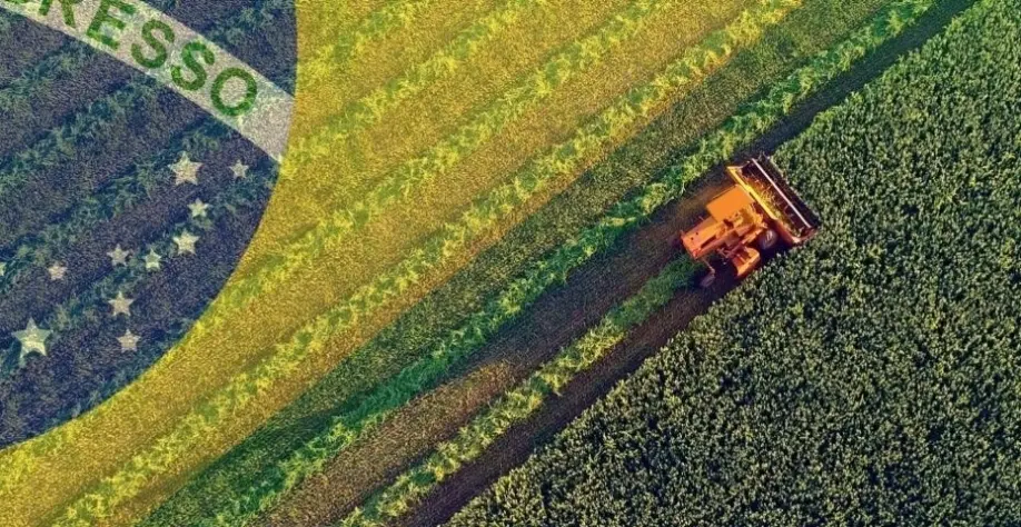agronegócio brasileiro Setores como o agronegócio, que dependem fortemente das exportações para os Estados Unidos, seriam particularmente afetados por eventuais escaladas protecionistas. Imagem: divulgação