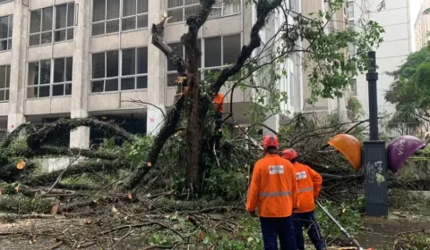 Chuvas e ventos deixam ao menos 8 feridos e milhares sem luz em SP