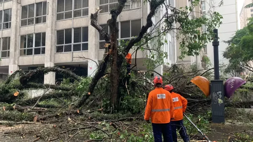 Chuvas e ventos deixam ao menos 8 feridos e milhares sem luz em SP