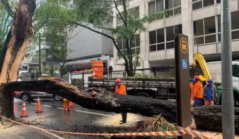 Chuvas e ventos deixam ao menos 18 feridos e milhares sem luz em São Paulo
