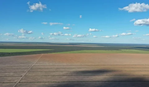 Somente oito projetos dos mais de 30 mil propõem ações para a preservação do Cerrado