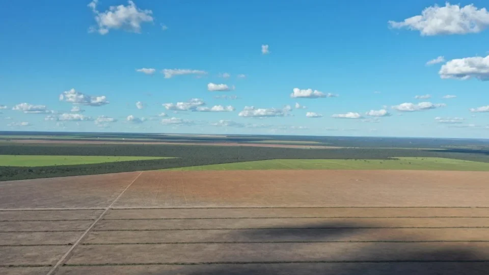 Somente oito projetos dos mais de 30 mil propõem ações para a preservação do Cerrado