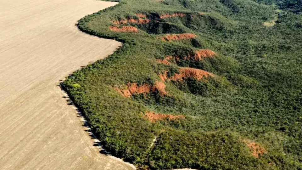Dossiê denuncia ecogenocídio no Cerrado com conivência do Estado e avanço do agronegócio