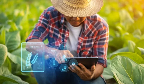 O cenário da big data e agrotech no campo