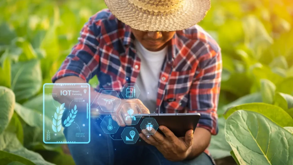O cenário da big data e agrotech no campo