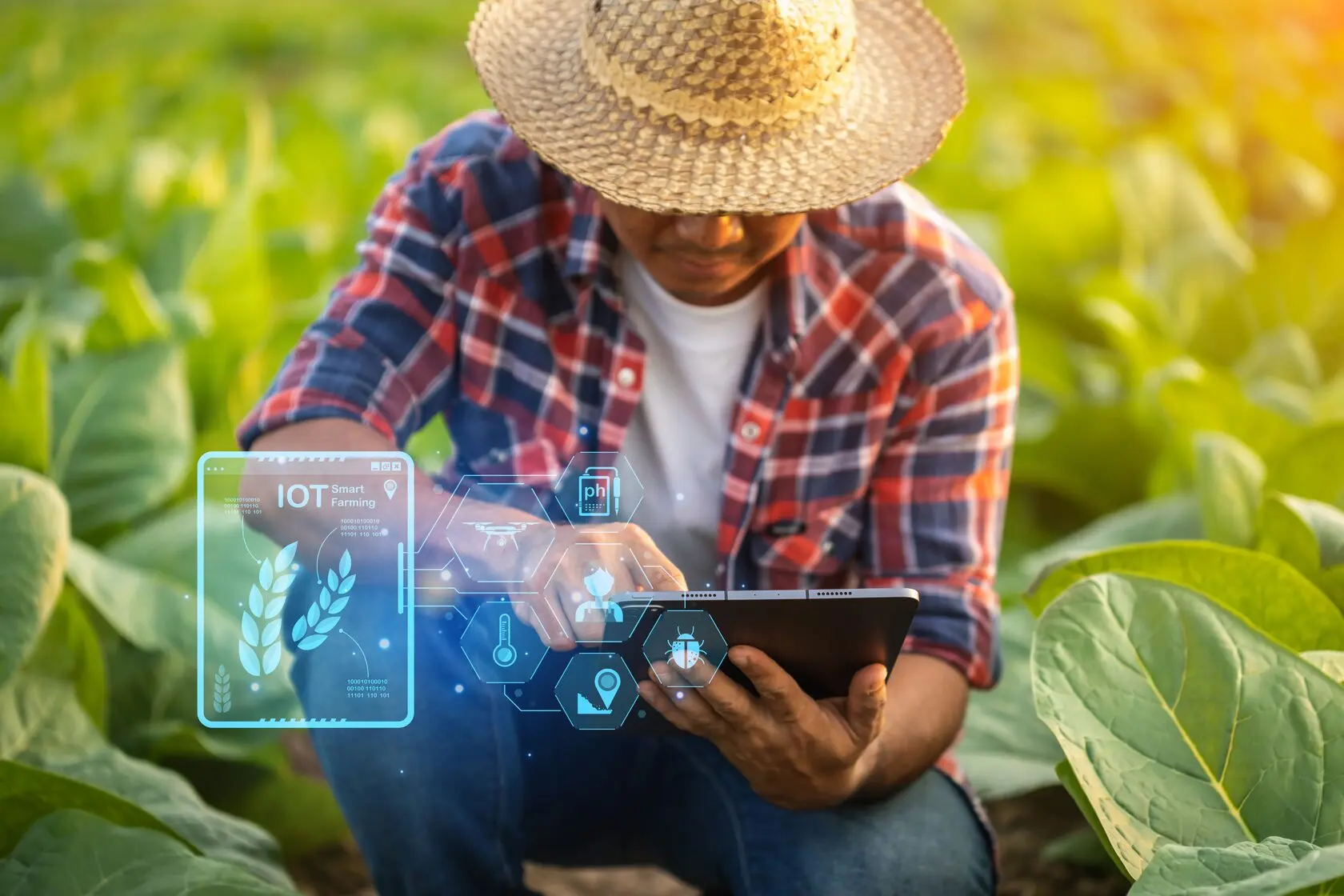 O cenário da big data agrotech no campo