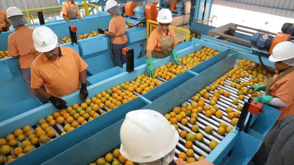 Exportação de produtos atingidos por tarifaço cai 22% em agosto