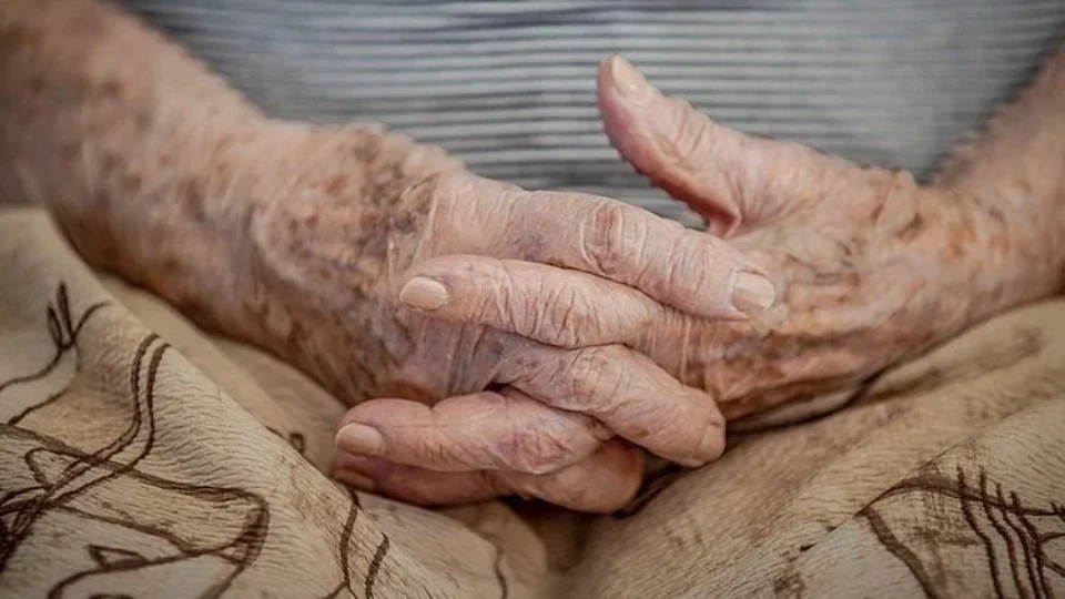 Cientistas identificam alimentos que aumentam risco de demência e Alzheimer; veja