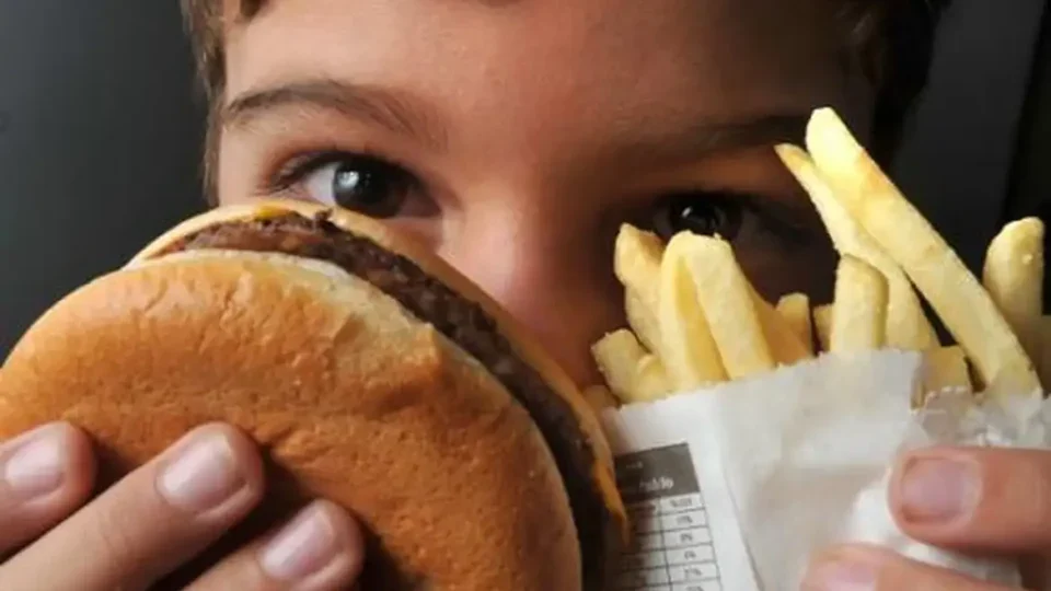 Propagandas de fast food aumentam consumo diário de calorias em crianças, diz estudo