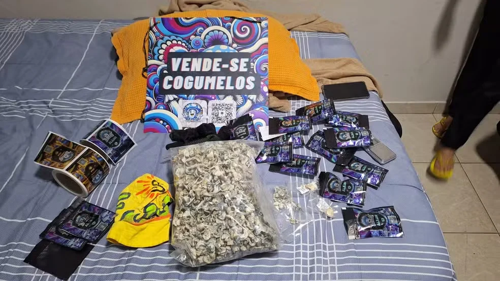 Polícia