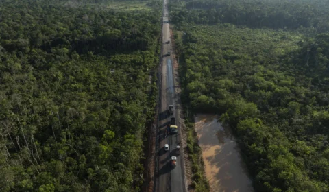 Governo Lula fará varredura fundiária em 31 mil propriedades rurais da Amazônia