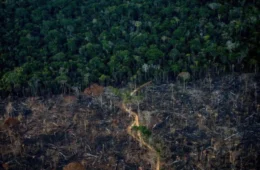 Crédito rural financiou R$ 92,4 bi em áreas com alertas ambientais