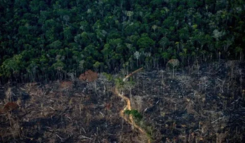 Ignorar clima custará até 33% do PIB de Brasil e vizinhos, diz ONU