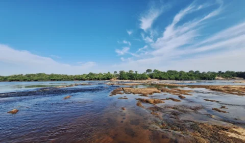 Amazônia e Cerrado registram queda de 11% no desmatamento