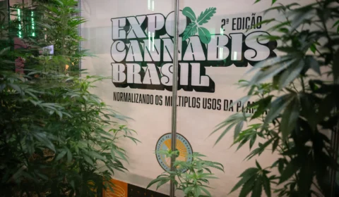 ExpoCannabis amplia debates sobre regulação e sustentabilidade no Brasil