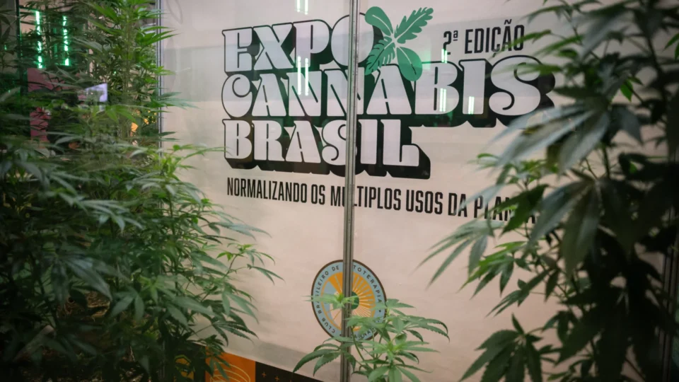ExpoCannabis amplia debates sobre regulação e sustentabilidade no Brasil