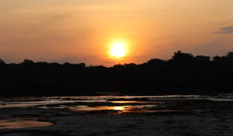 Amazônia enfrenta escalada inédita de temperaturas extremas em áreas preservadas