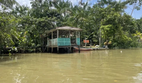 Ilha do Combu: do palco de Mariah Carey às mudanças climáticas