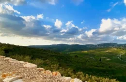Palestinos explicam raízes com a terra e por que populações não deixarão Gaza e a Cisjordânia