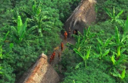 Minerais críticos ‘cercam’ 45 povos indígenas isolados na Amazônia