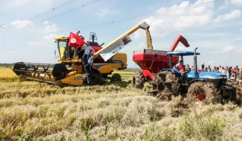 Safra atinge maior volume em 50 anos, mas IBGE projeta recuo em 2026