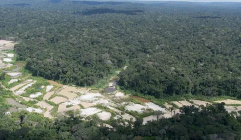 Menos de três meses após retirada de garimpeiros, desmatamento volta a ameaçar TI Munduruku