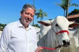 Lira junta elite da pecuária do Nordeste em leilão de gado e fatura R$ 4 mi