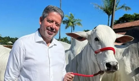 Lira junta elite da pecuária do Nordeste em leilão de gado e fatura R$ 4 mi