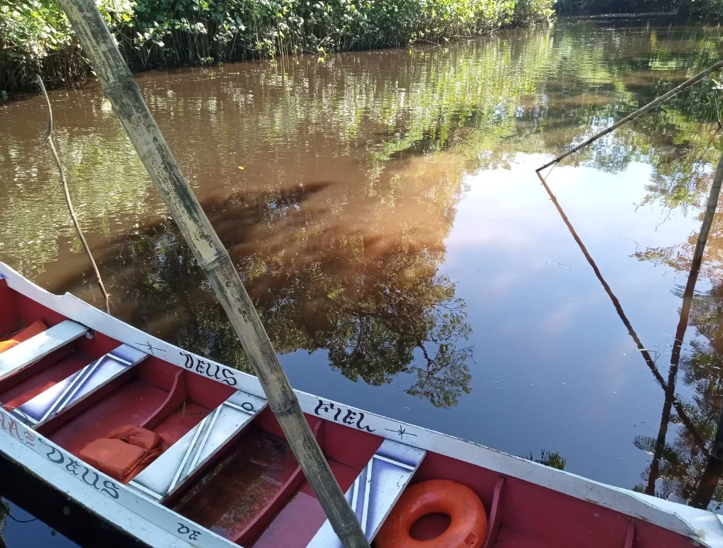 Quilombolas no Pará enfrentam projeto de aterro sanitário em área suspeita de grilagem