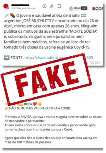 A pesquisa mapeou os 175 principais supostos danos causados pelas vacinas, divulgados nos grupos de desinformação