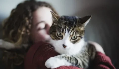 O que ter um gato faz com o seu cérebro – e com o dele