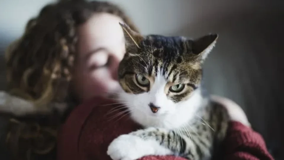 O que ter um gato faz com o seu cérebro – e com o dele