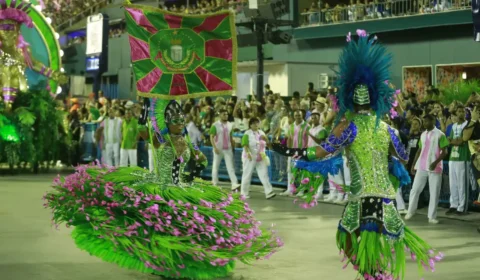 Jequitibá do samba