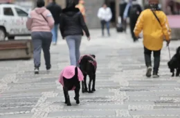 Nova frente fria avança com chuva forte e frio no Sul e Sudeste