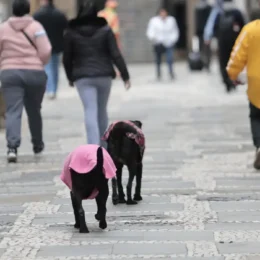 Nova frente fria avança com chuva forte e frio no Sul e Sudeste