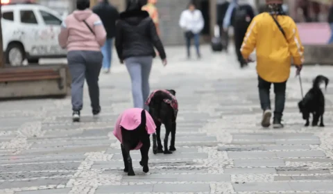 Previsão do tempo: frente fria traz chuva forte e queda de temperatura nesta terça