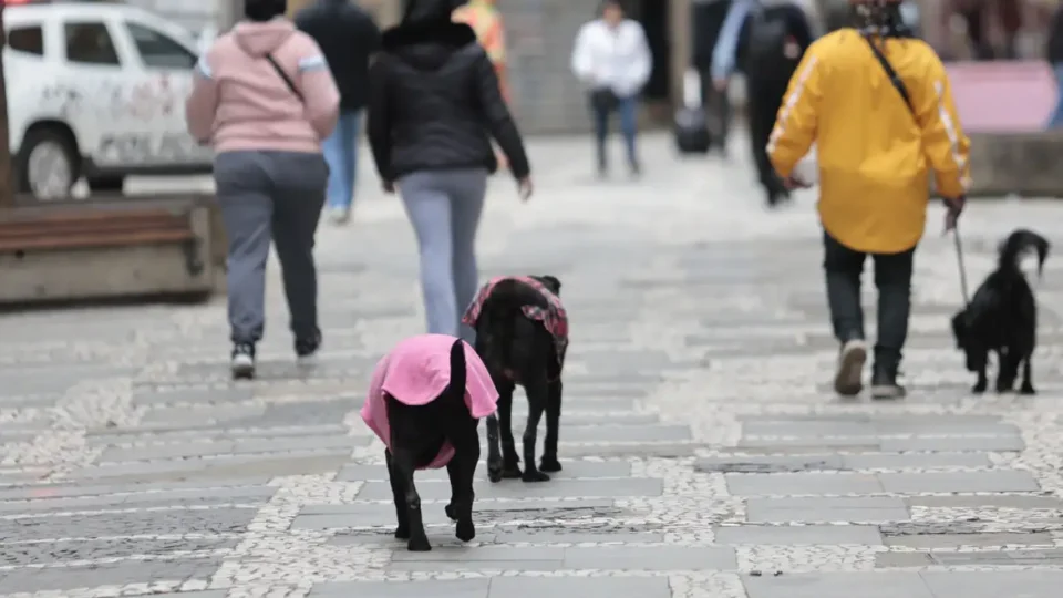 Nova frente fria avança com chuva forte e frio no Sul e Sudeste