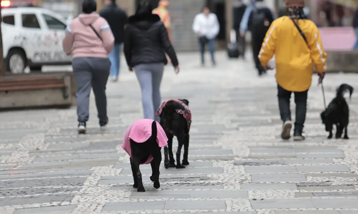 Nova frente fria avança com chuva forte e frio no Sul e Sudeste