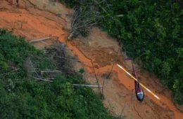 PSOL e entidades vão ao STF para suspender nova lei do licenciamento ambiental