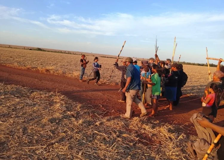 Indígenas Guarani e Kaiowá organizaram retomada de território ancestral. (Foto: Divulgação/Aty Guasu) Após ataque com dezenas de feridos, povos Guarani e Kaiowá temem novas ações da PM do MS