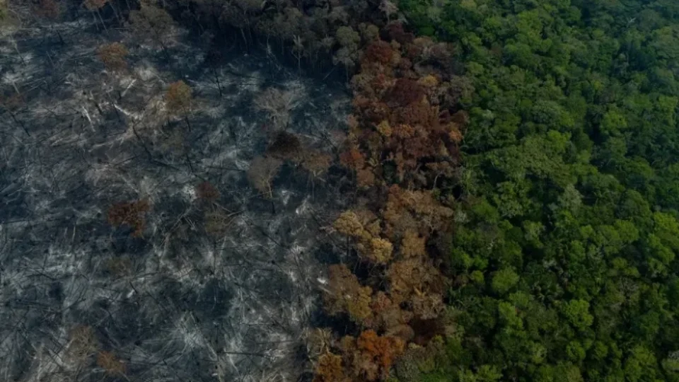Áreas desmatadas na Amazônia e no Cerrado caem mais de 11% em 2025