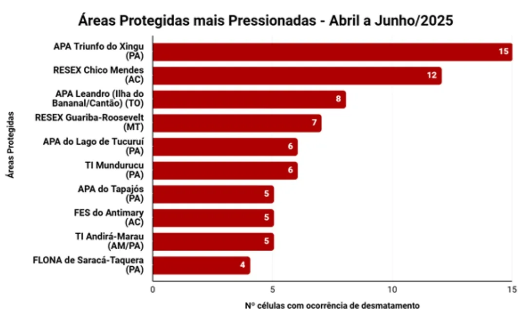 Menos de três meses após retirada de garimpeiros, desmatamento volta a ameaçar TI Munduruku