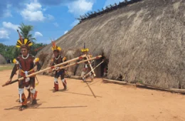 Governo Federal anuncia mudanças no Luz para Todos no Xingu após relatório mostrar falhas