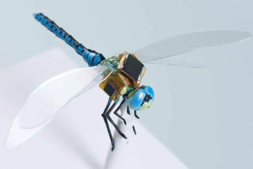Nanodrones são minúsculos dispositivos aéreos que combinam alta tecnologia e extrema miniaturização, capazes de operar onde drones comuns não conseguem. Imagem: reprodução 