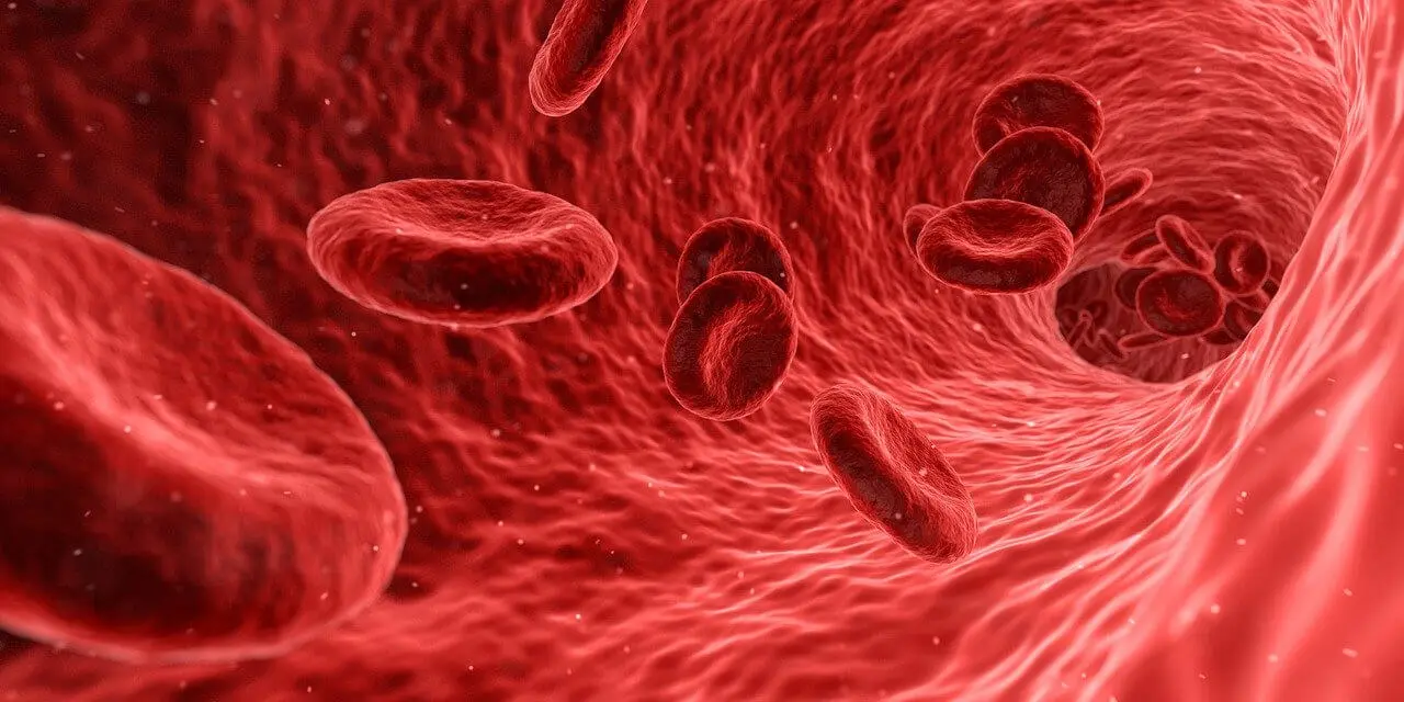 Nanorrobôs médicos podem tratar doenças de forma precisa e segura, mostrando o lado positivo da nanotecnologia. Imagem: reprodução
